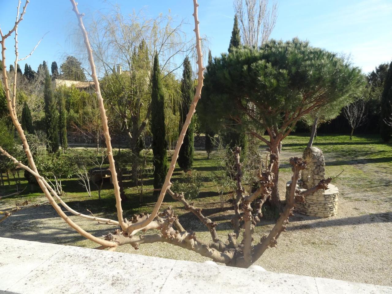 Locations Des Alpilles Apartment แซ็งต์-เรมีย์-เดอ-โพรวองซ์ ภายนอก รูปภาพ
